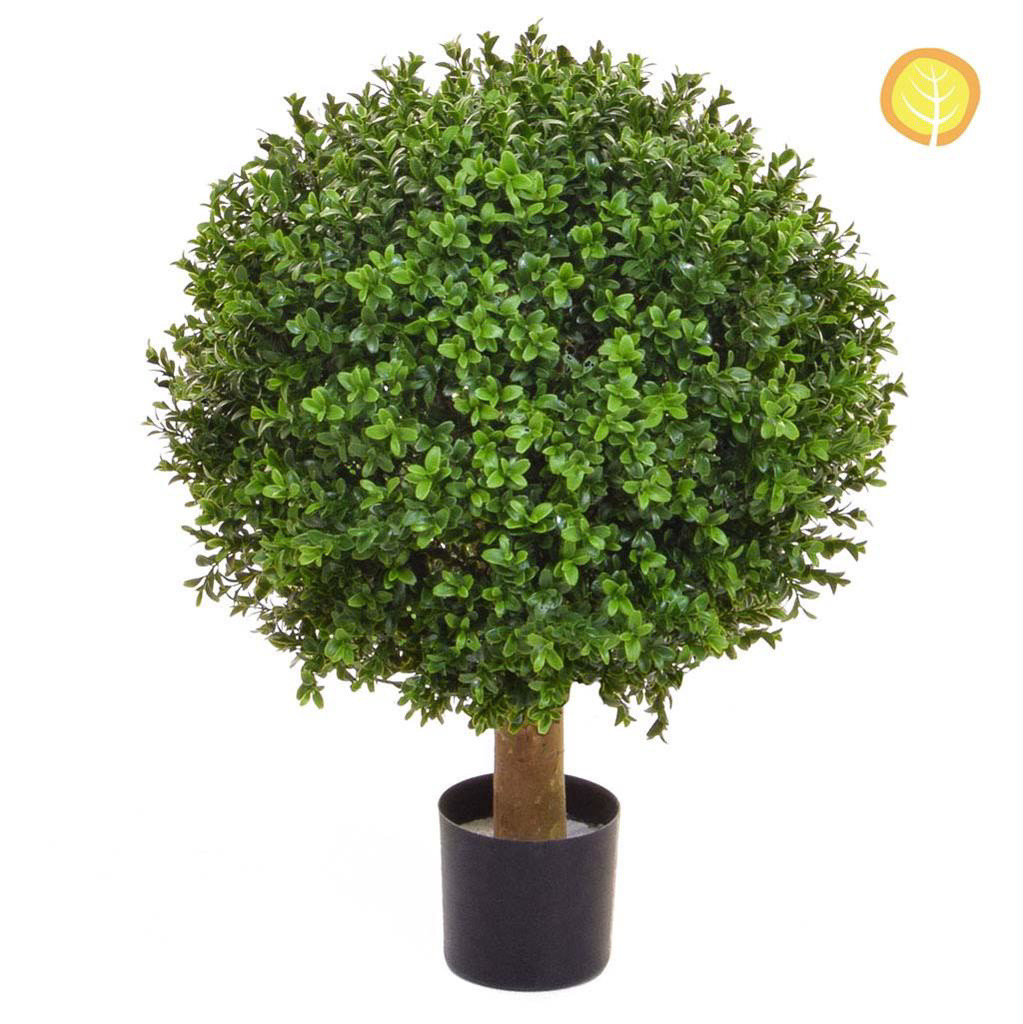 40cm Buxus Ball