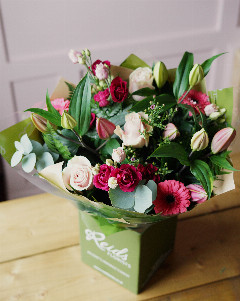 The Deramore-X Large