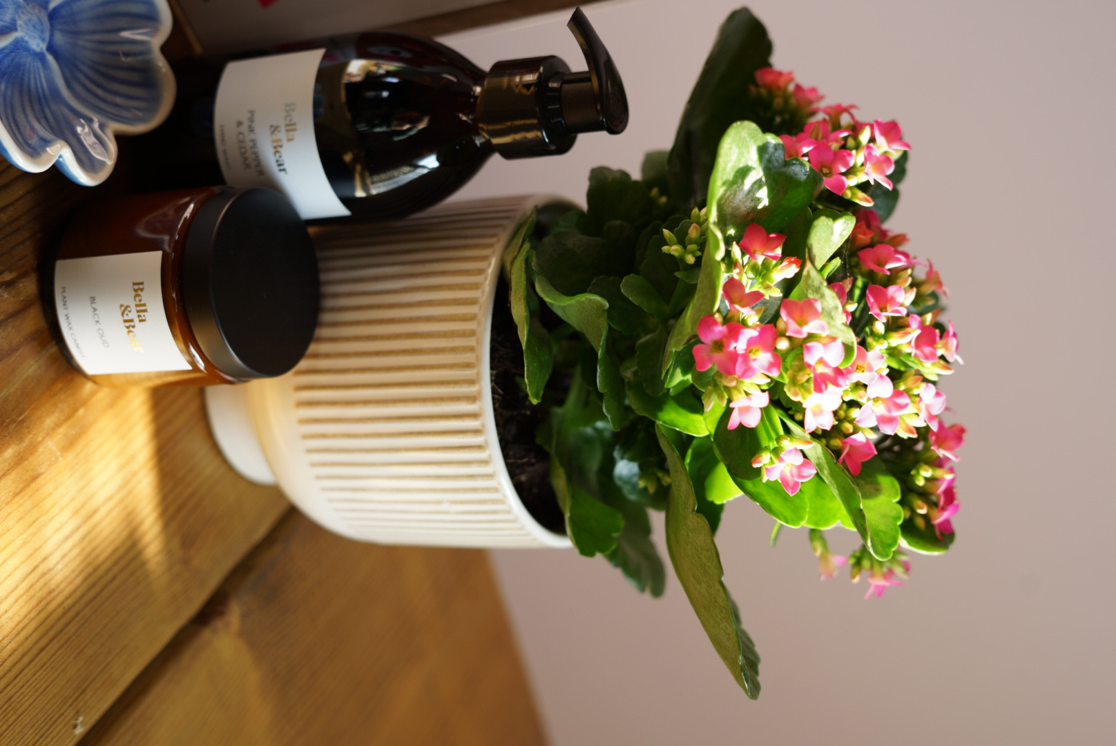 Mothers Day Plant Gift Set