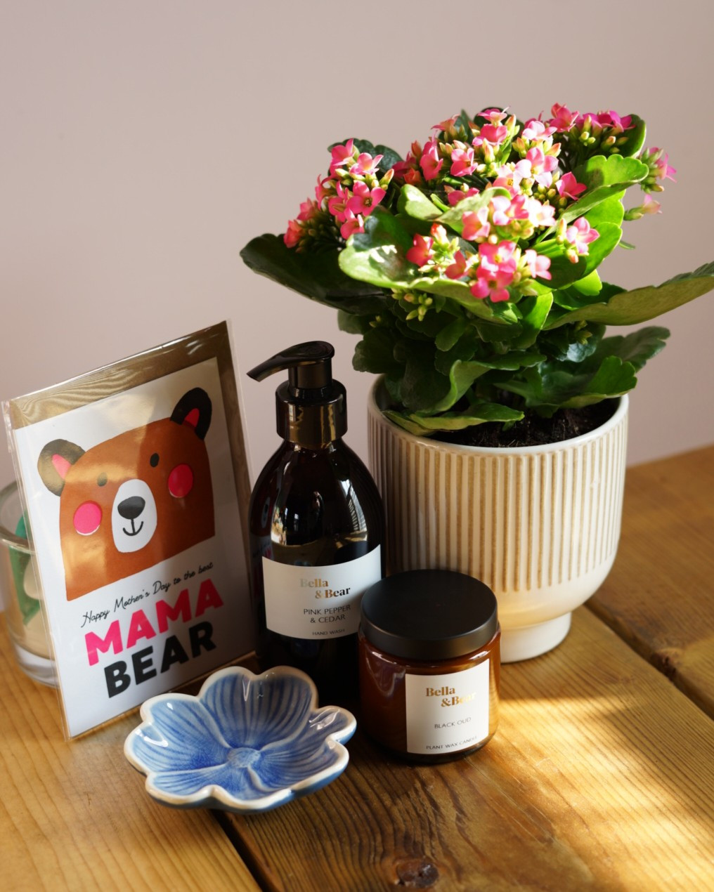 Mothers Day Plant Gift Set