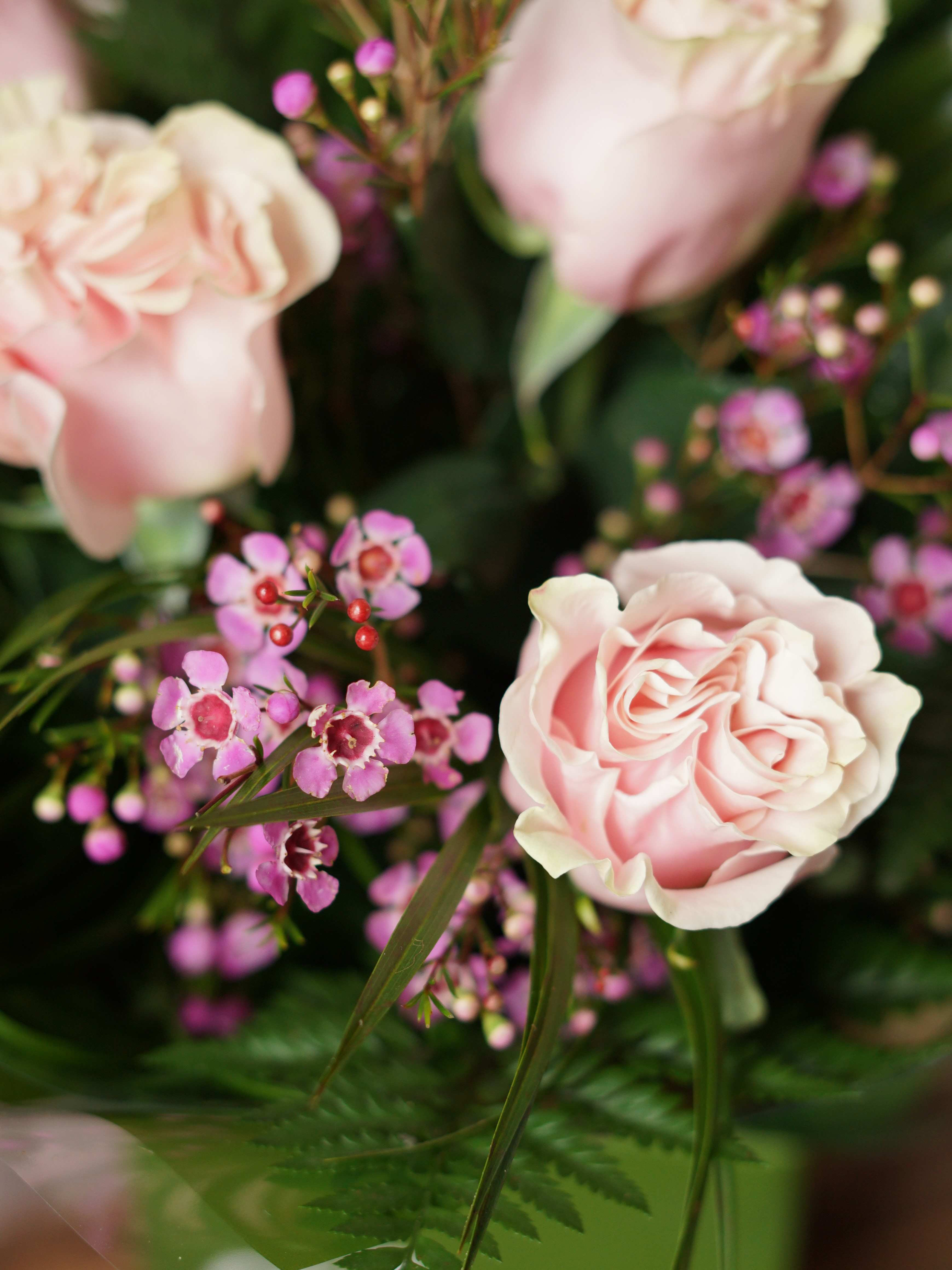 Six Pink Kisses
