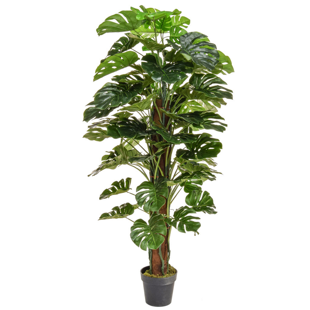 150cm Faux Monstera Plant