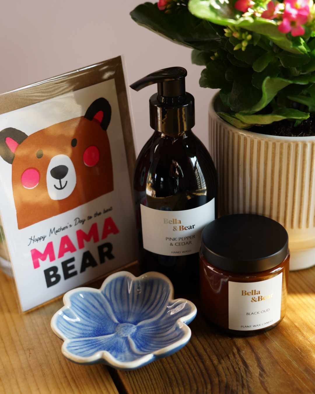 Mothers Day Plant Gift Set