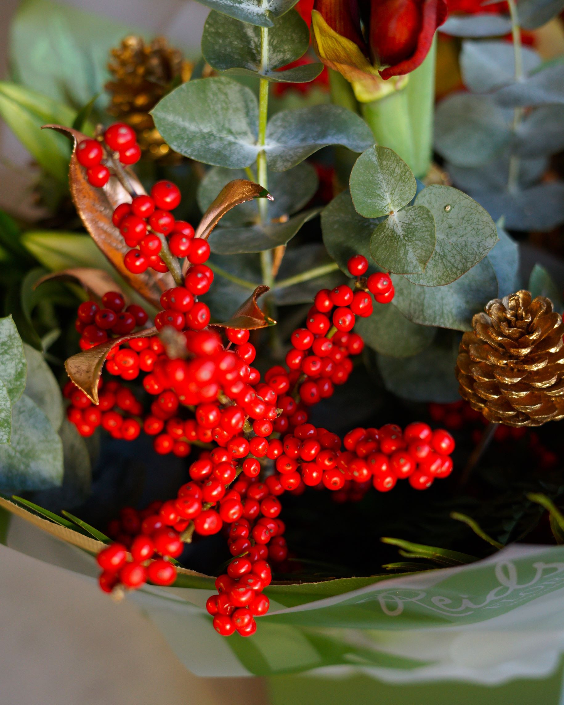 Amaryllis and Berries