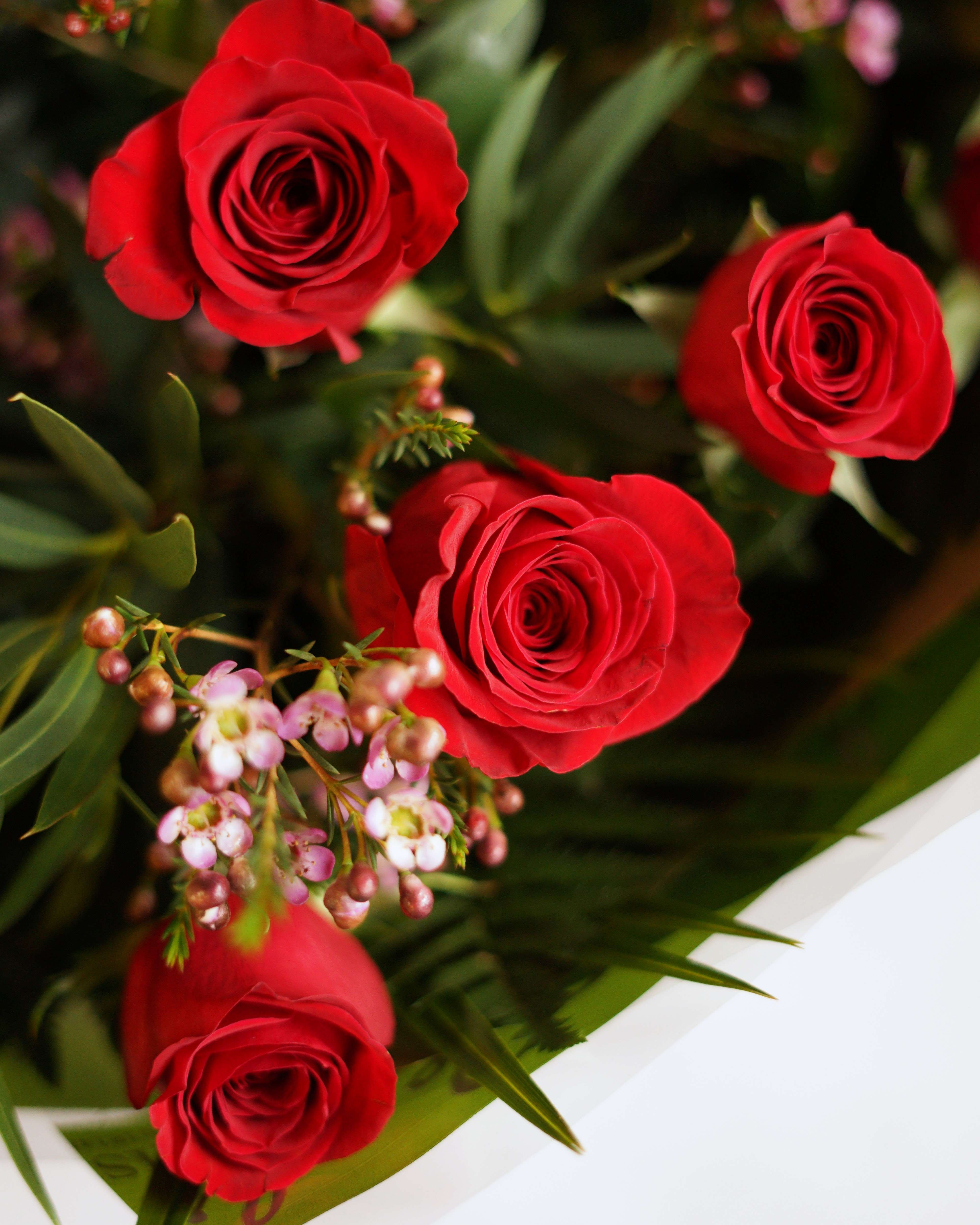 Luxury 12 Red Roses