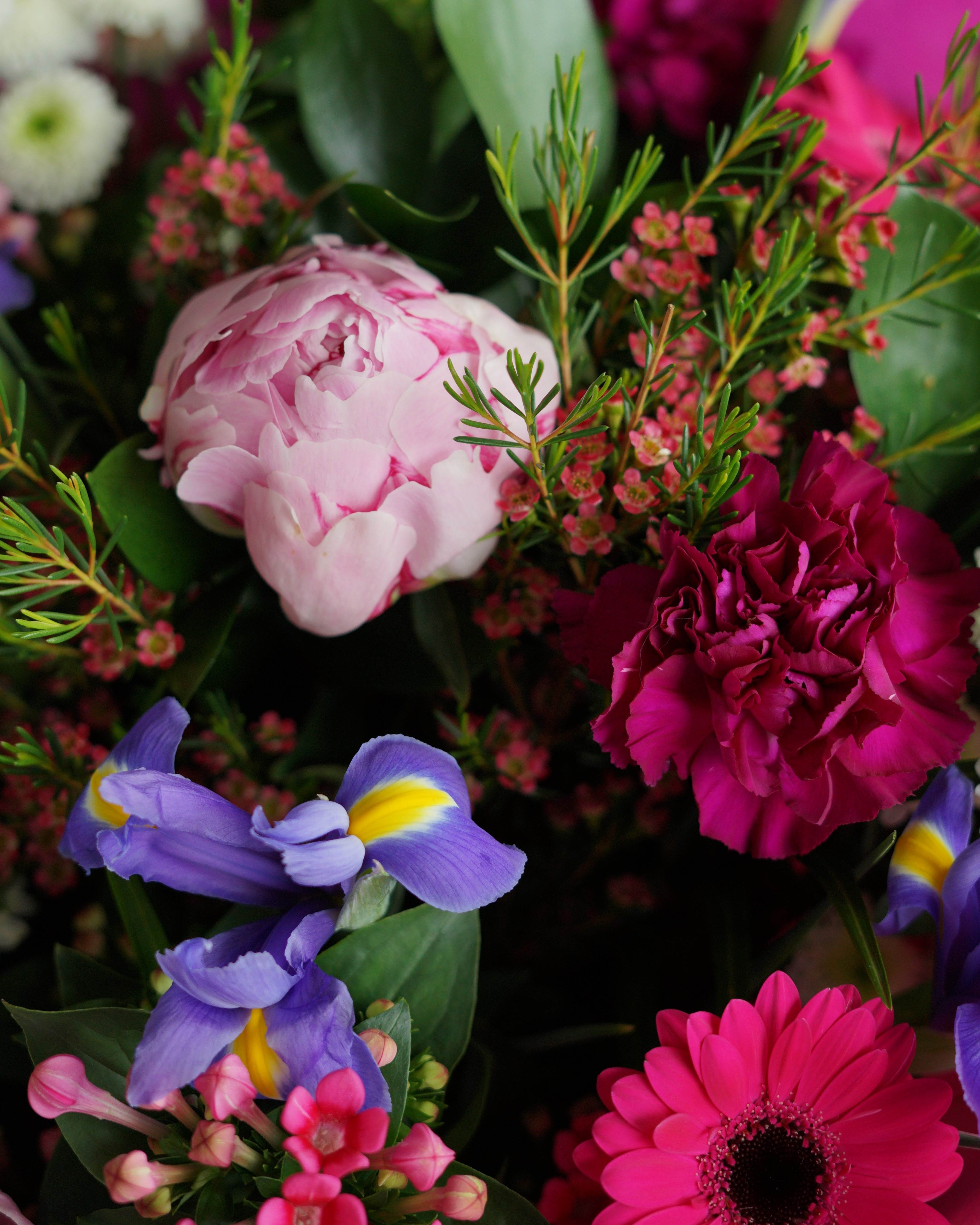 Seasonal Including Peonies